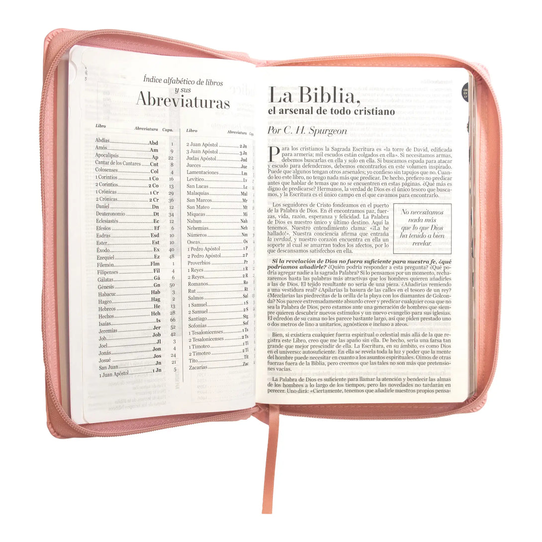 Biblia Reina Valera 1960 tamaño manual letra grande 12