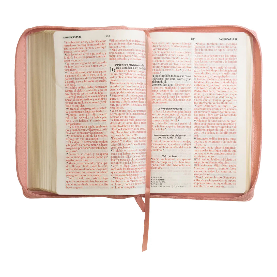 Biblia Reina Valera 1960 tamaño manual letra grande 12