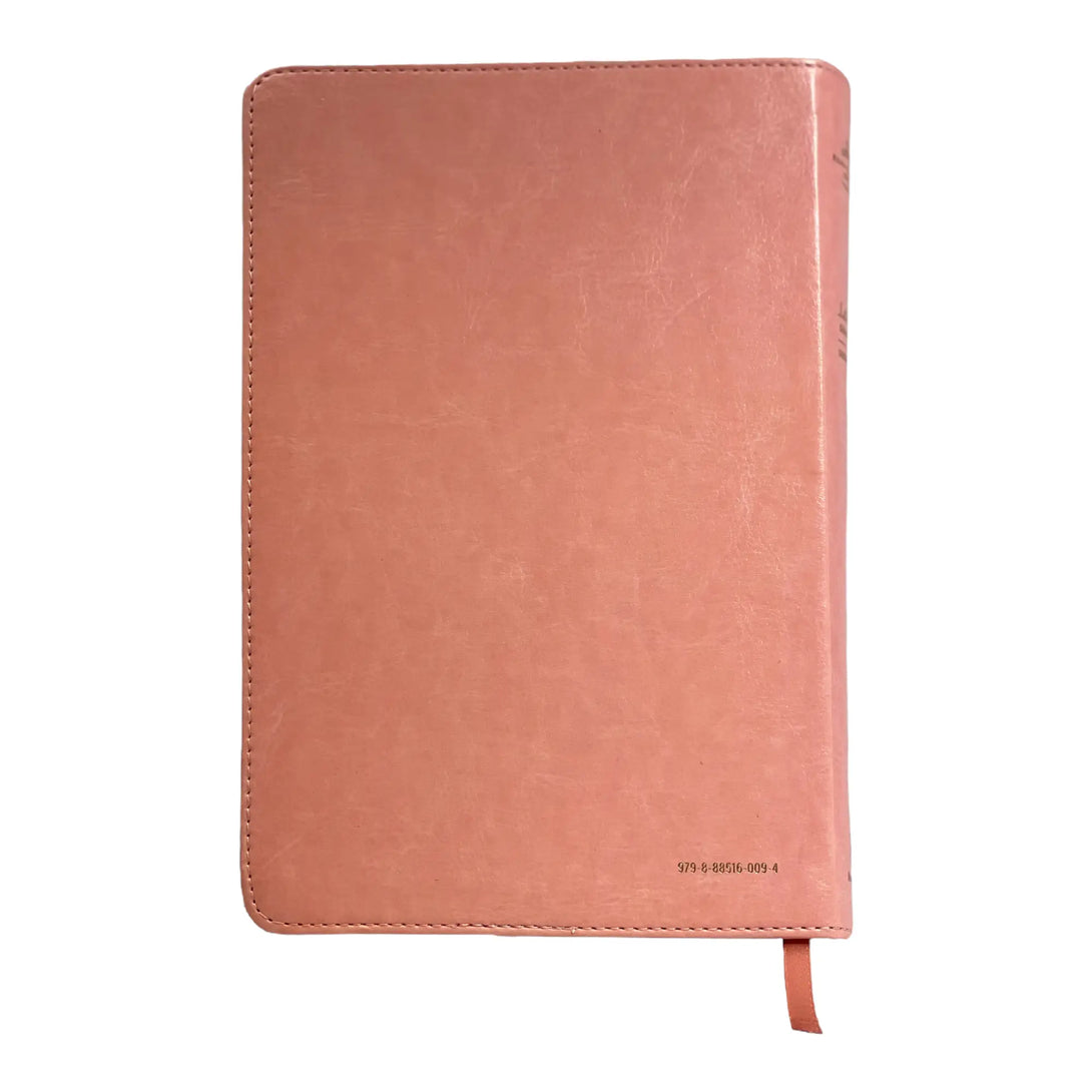 Biblia Reina Valera 1960 tamaño manual letra grande 12
