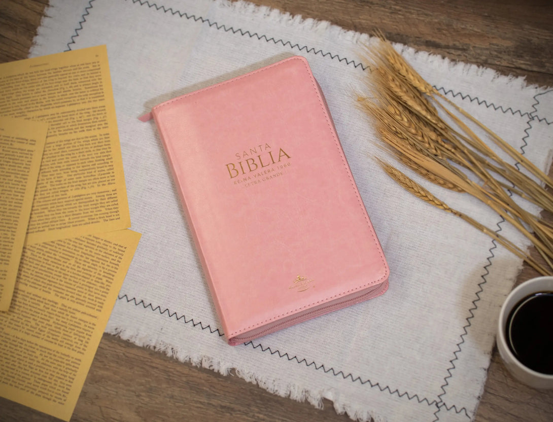 Biblia Reina Valera 1960 tamaño manual letra grande 12