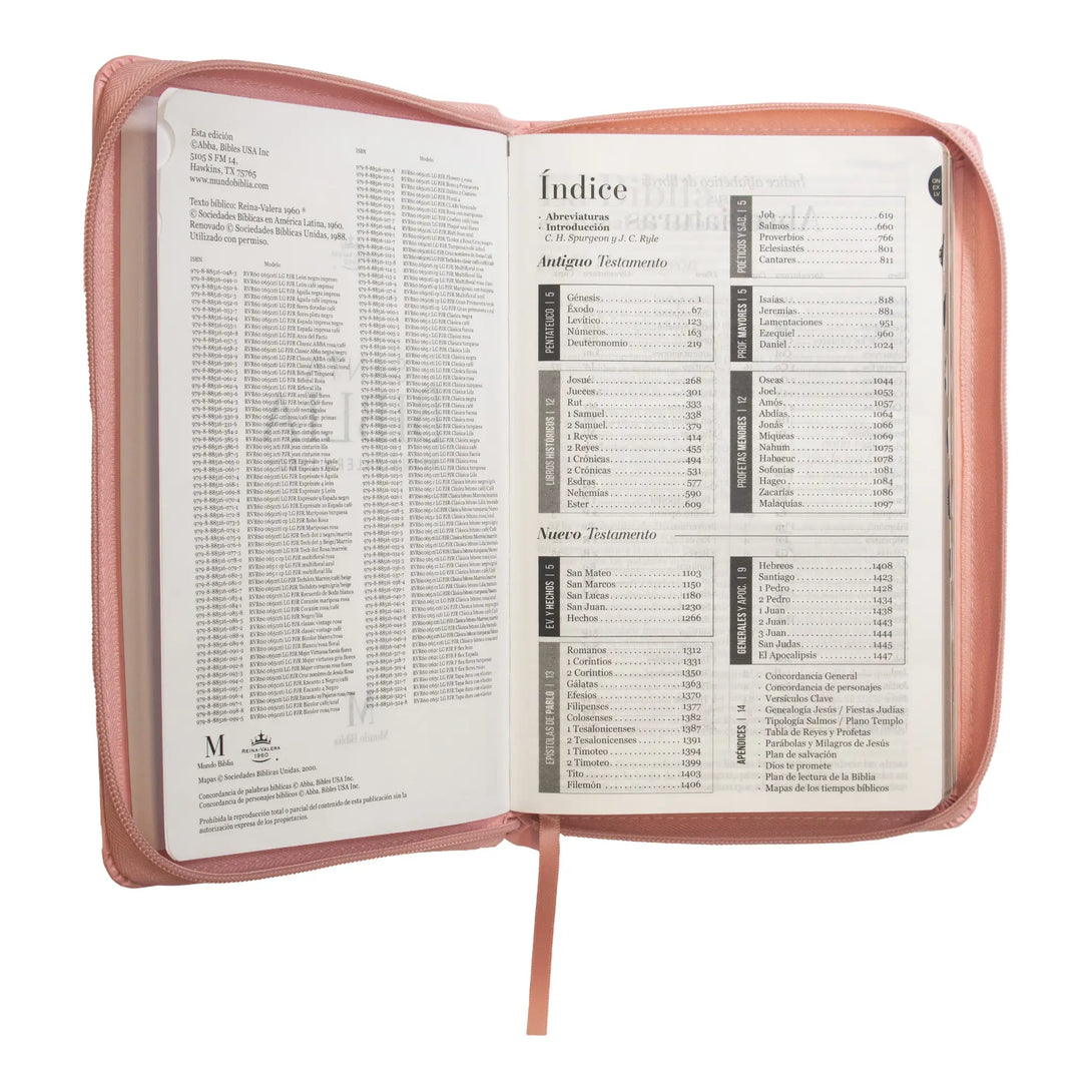 Biblia Reina Valera 1960 tamaño manual letra grande 12