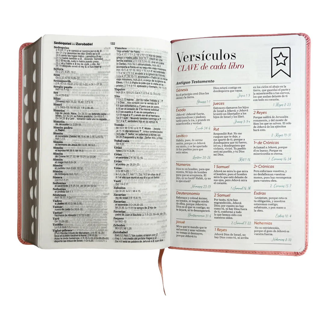 Biblia Reina Valera 1960 tamaño manual letra grande 12