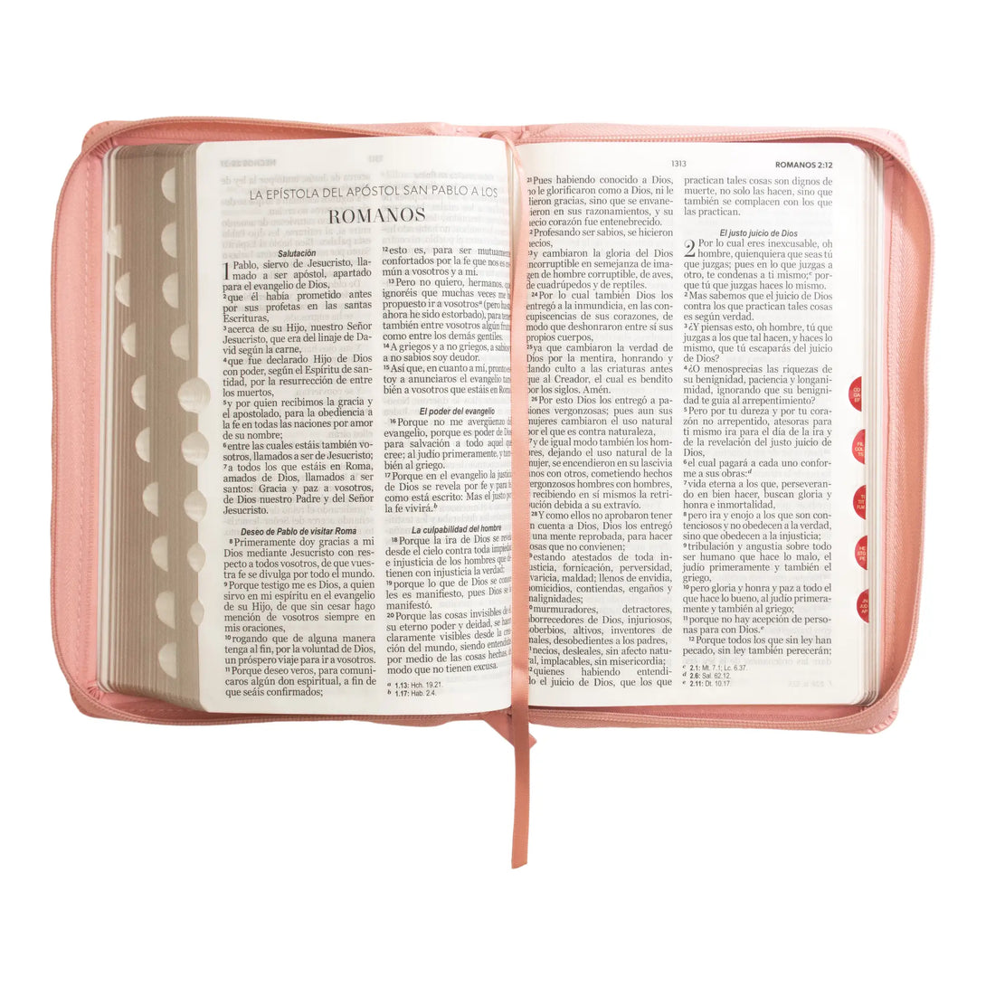 Biblia Reina Valera 1960 tamaño manual letra grande 12