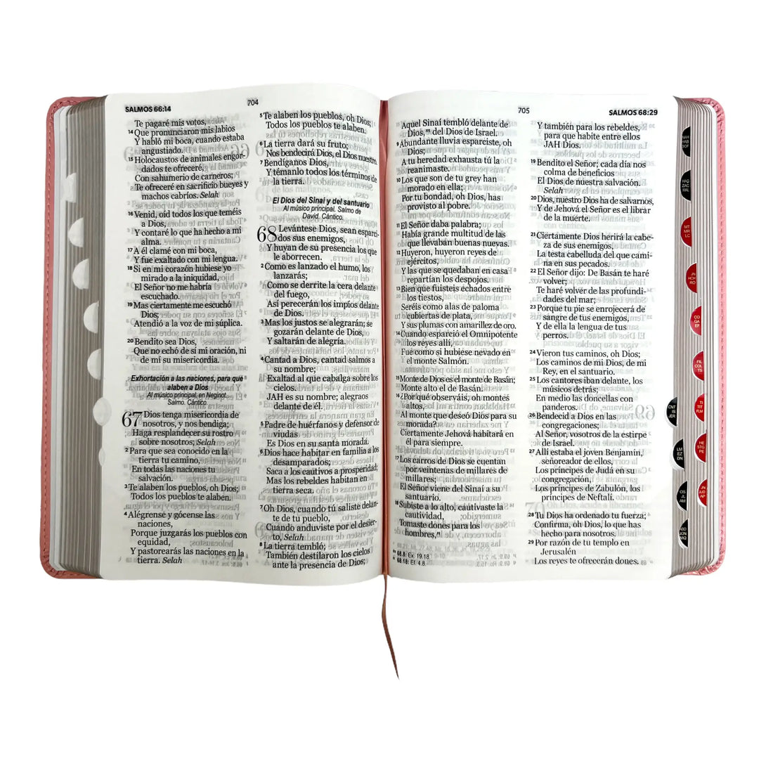 Biblia Reina Valera 1960 tamaño manual letra grande 12