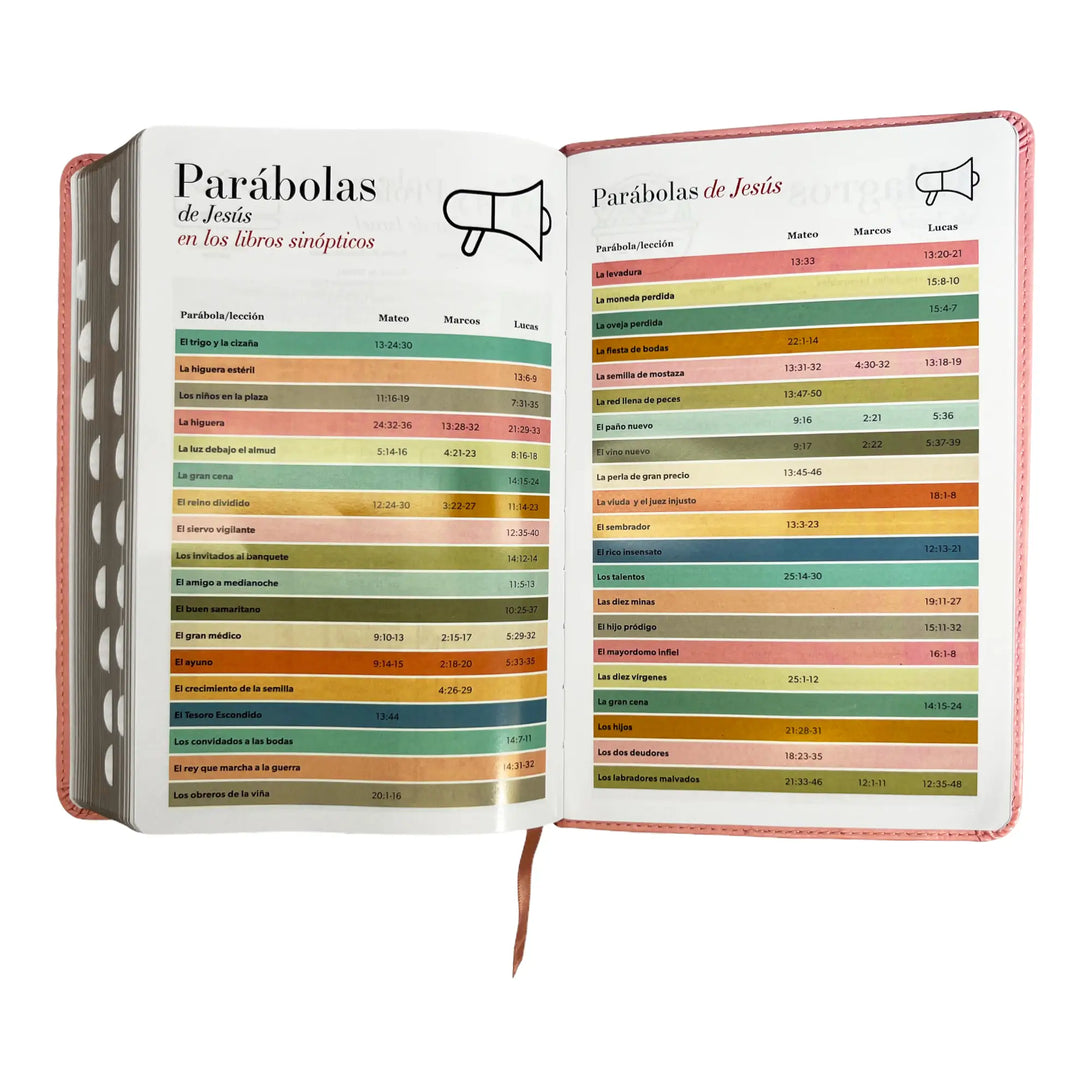 Biblia Reina Valera 1960 tamaño manual letra grande 12
