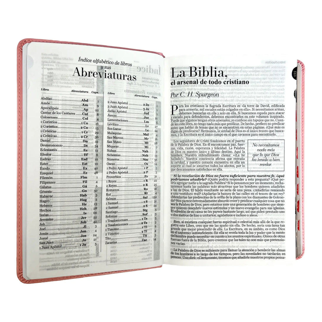 Biblia Reina Valera 1960 tamaño manual letra grande 12