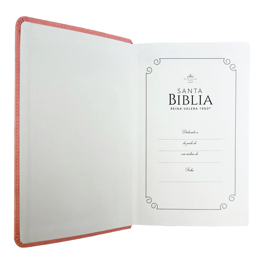 Biblia Reina Valera 1960 tamaño manual letra grande 12
