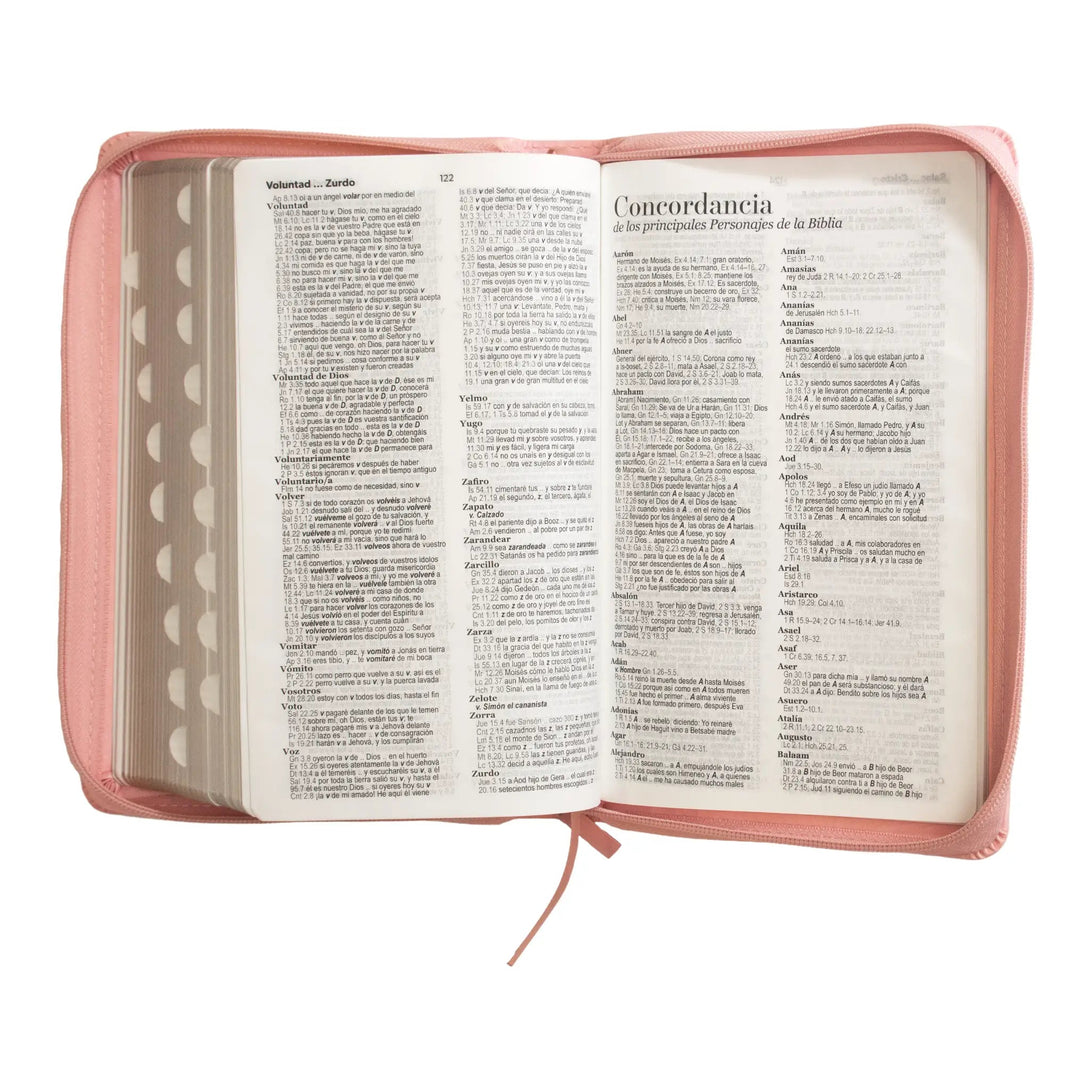 Biblia Reina Valera 1960 tamaño manual letra grande 12