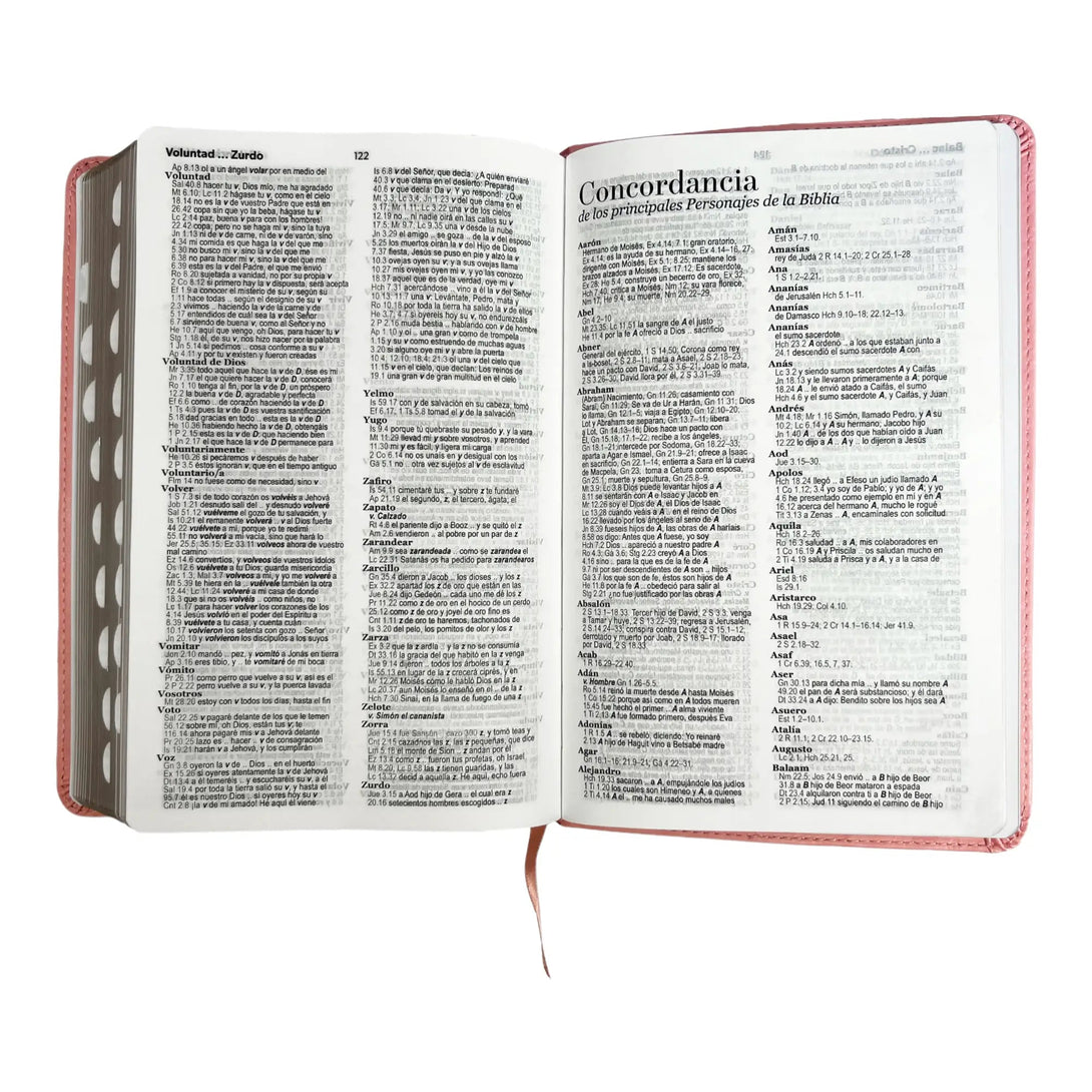 Biblia Reina Valera 1960 tamaño manual letra grande 12