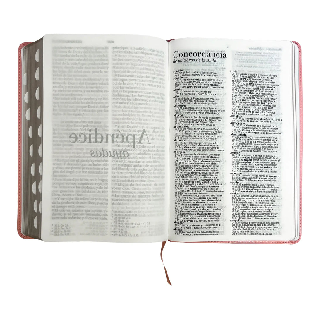 Biblia Reina Valera 1960 tamaño manual letra grande 12