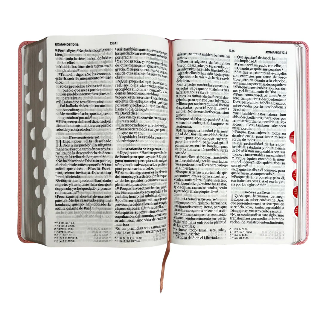 Biblia Reina Valera 1960 tamaño manual letra grande 12