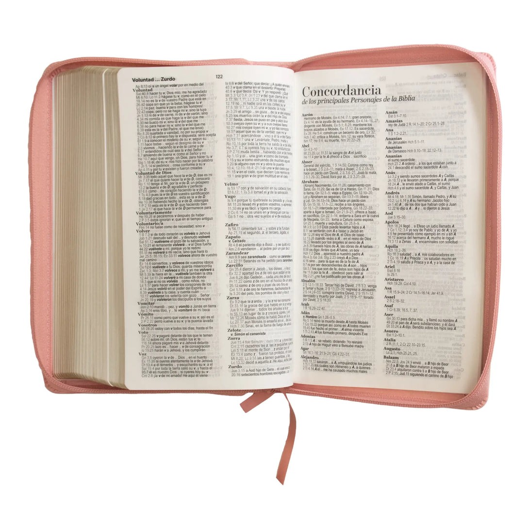 Biblia Reina Valera 1960 tamaño manual letra grande 12