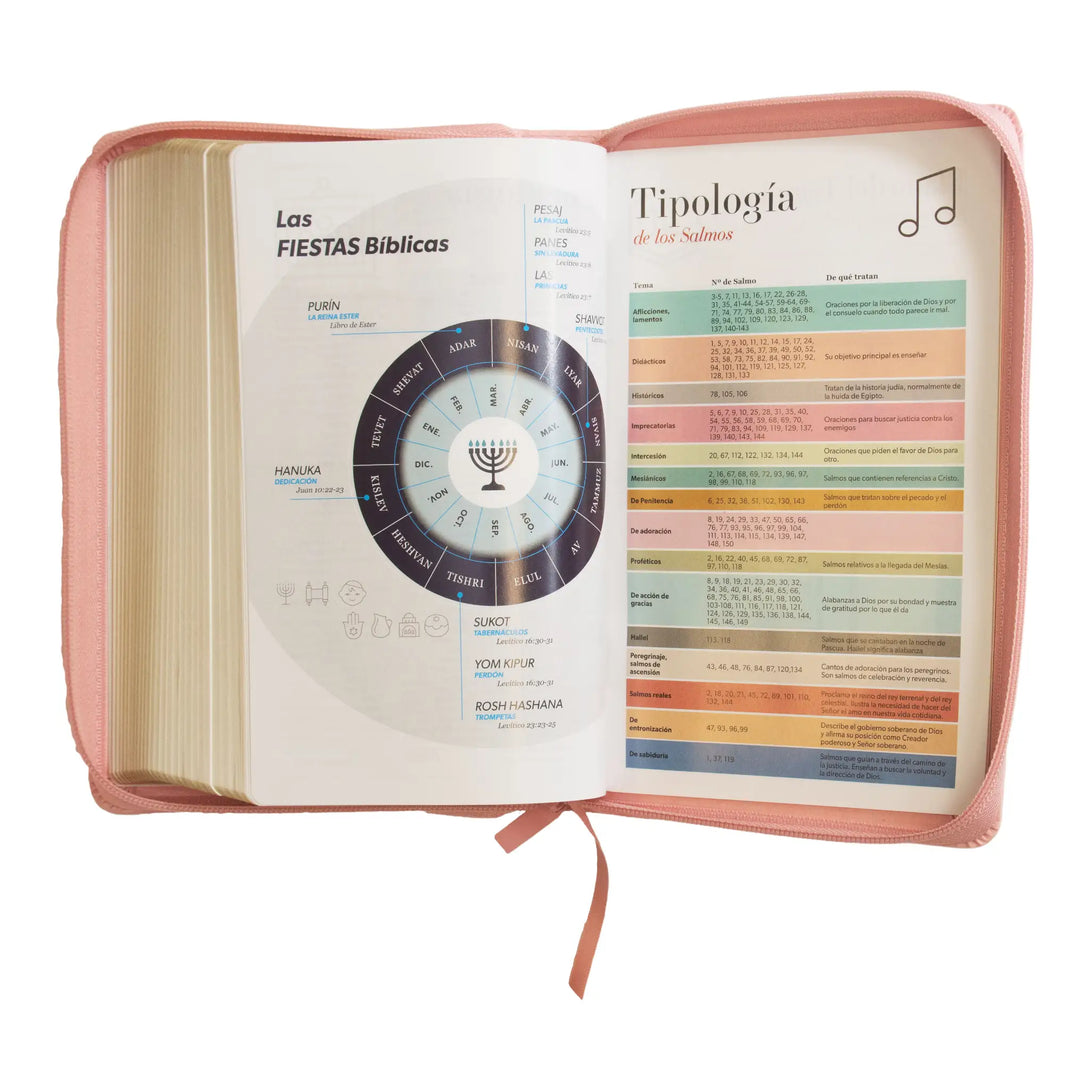 Biblia Reina Valera 1960 tamaño manual letra grande 12