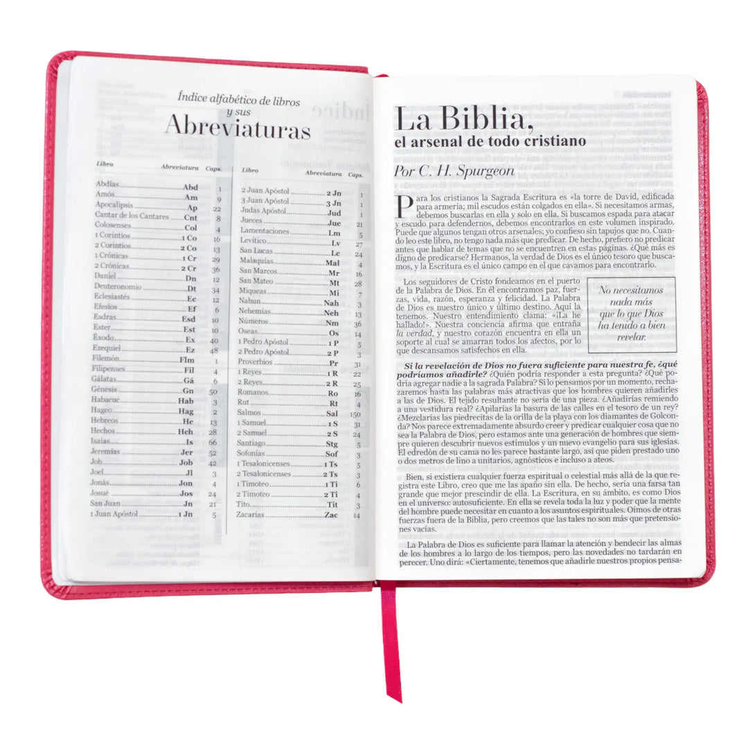 Biblia Reina Valera 1960 tamaño manual letra grande 12