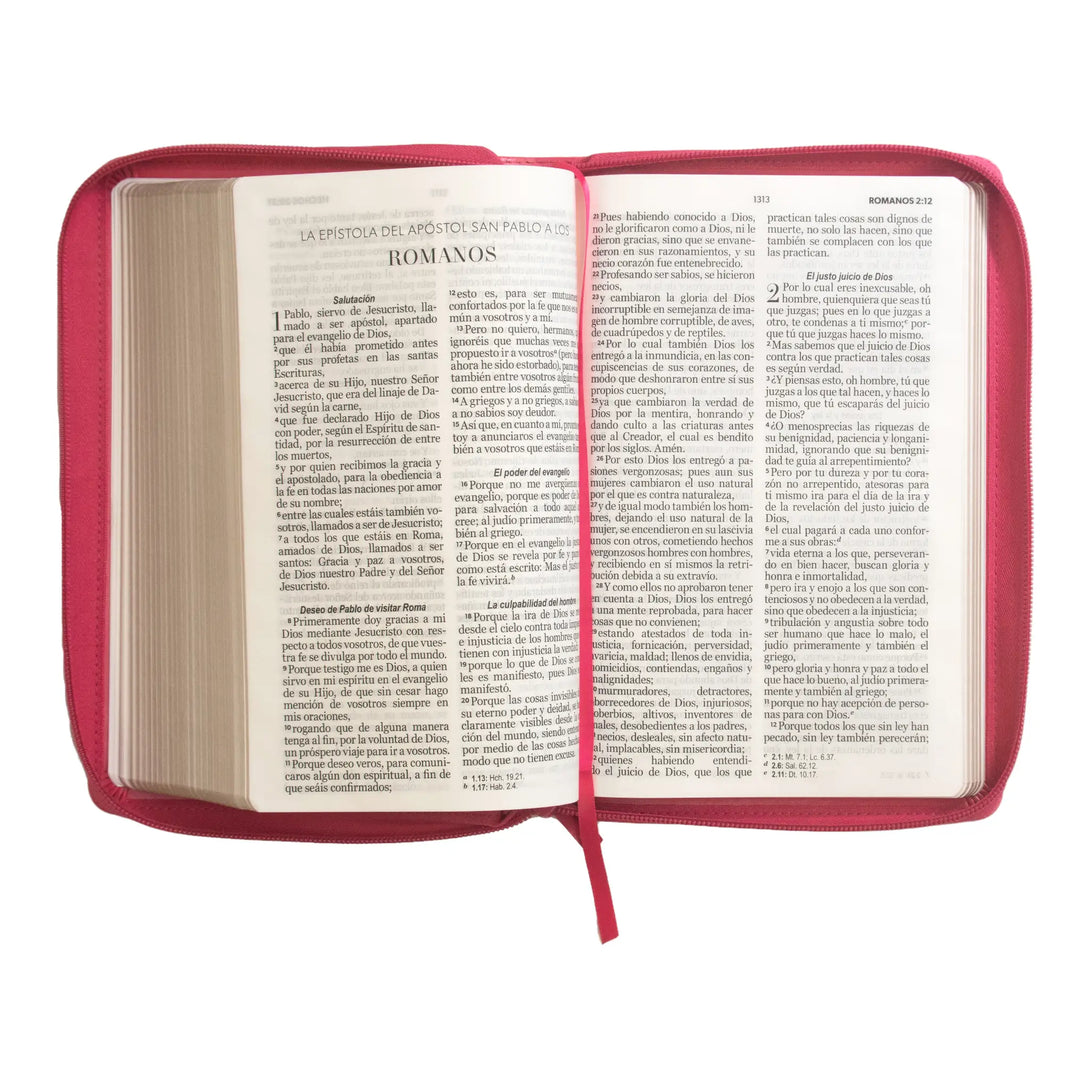Biblia Reina Valera 1960 tamaño manual letra grande 12