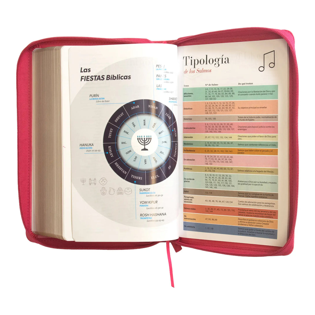 Biblia Reina Valera 1960 tamaño manual letra grande 12
