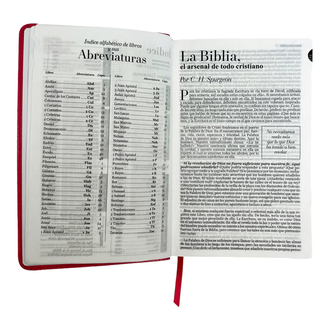 Biblia Reina Valera 1960 tamaño manual letra grande 12