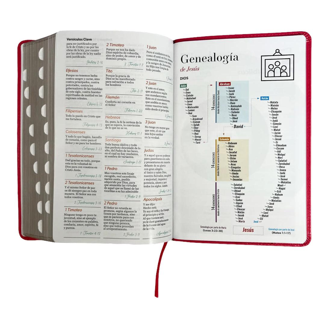 Biblia Reina Valera 1960 tamaño manual letra grande 12