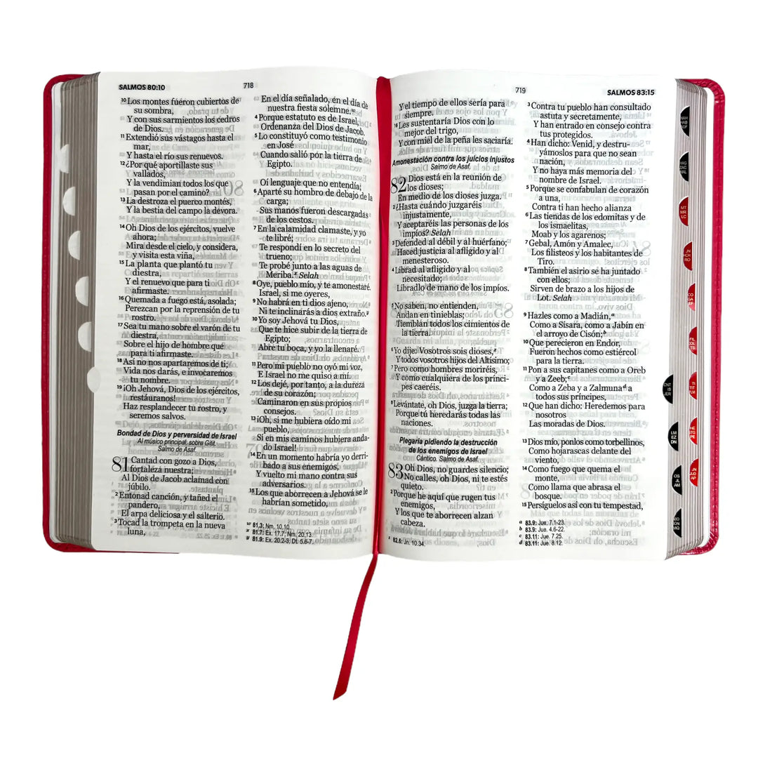 Biblia Reina Valera 1960 tamaño manual letra grande 12