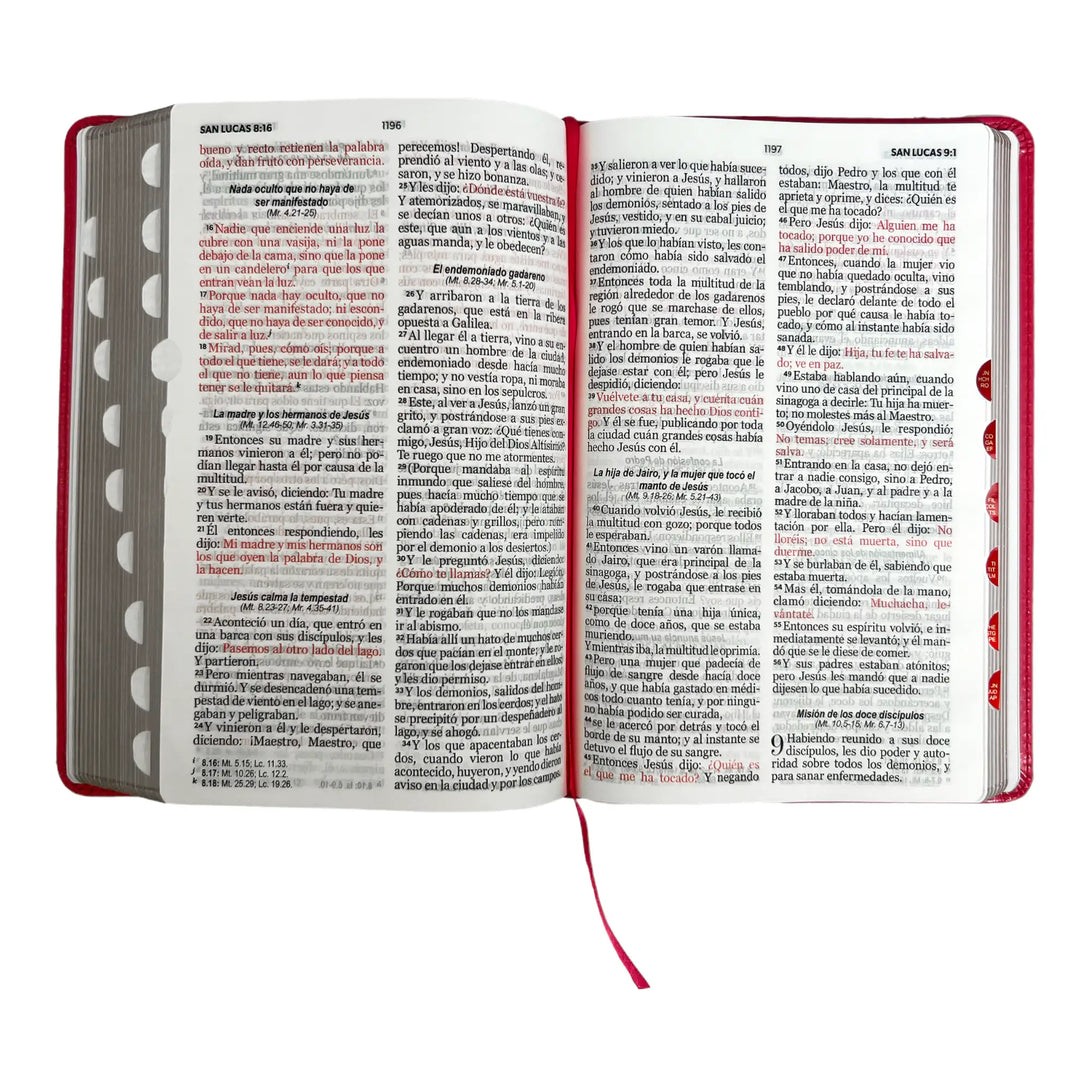 Biblia Reina Valera 1960 tamaño manual letra grande 12