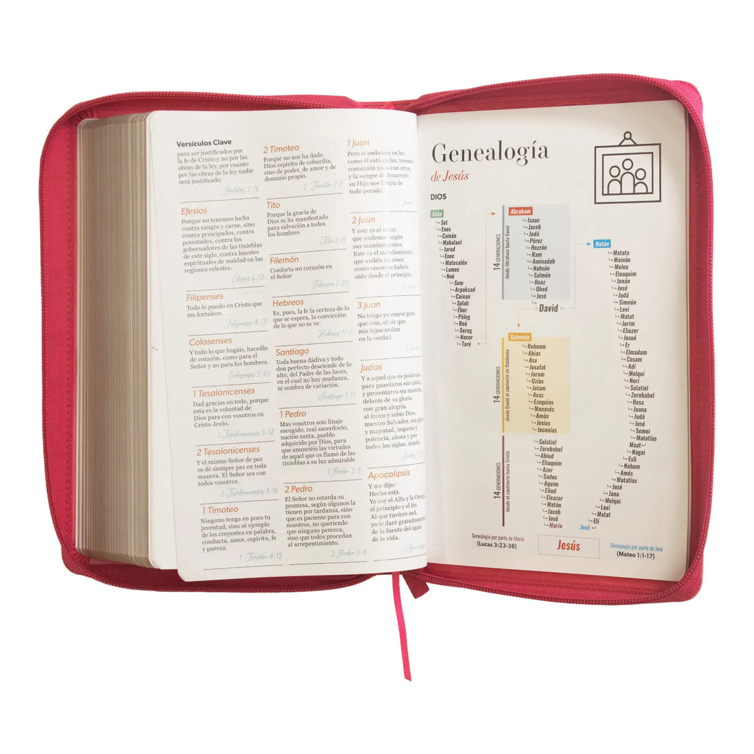 Biblia Reina Valera 1960 tamaño manual letra grande 12