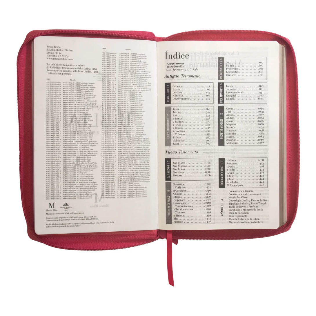 Biblia Reina Valera 1960 tamaño manual letra grande 12