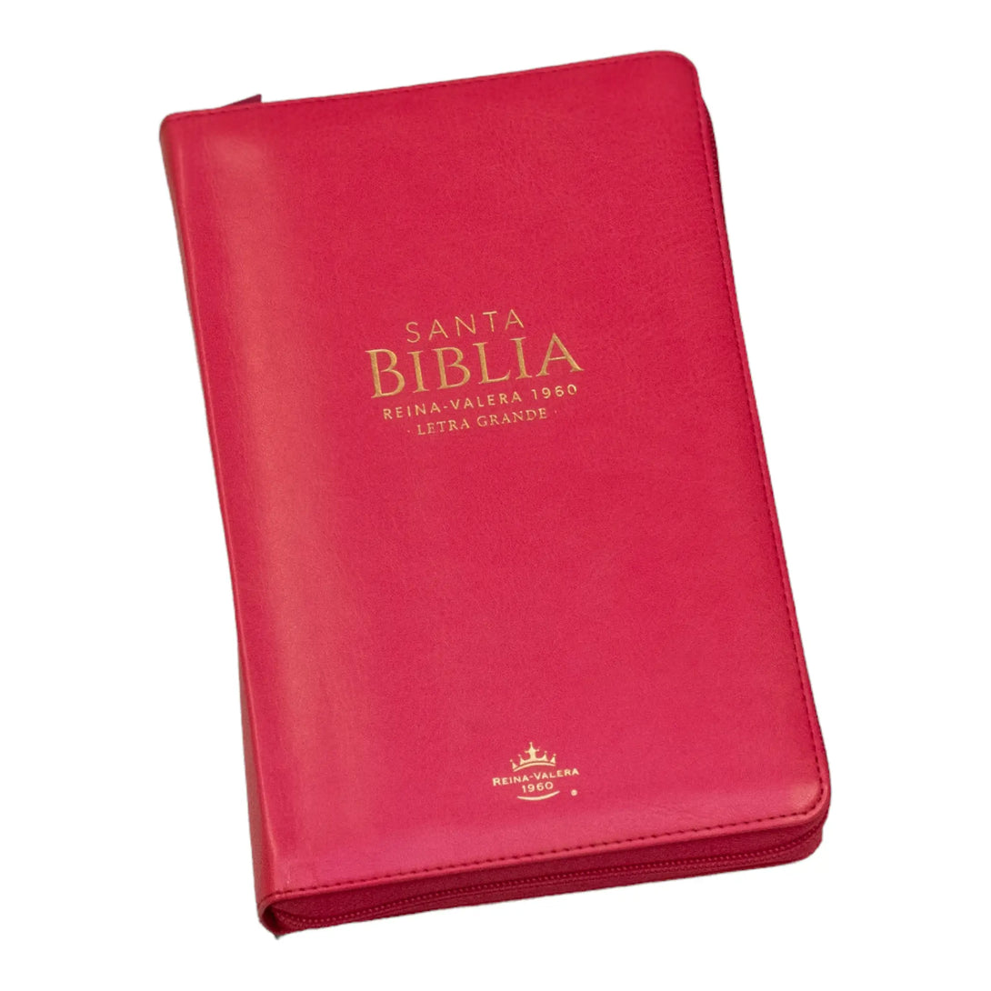 Biblia Reina Valera 1960 tamaño manual letra grande 12