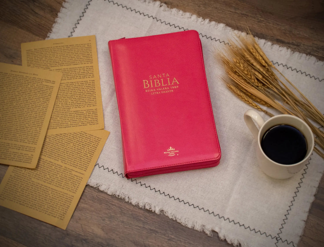 Biblia Reina Valera 1960 tamaño manual letra grande 12