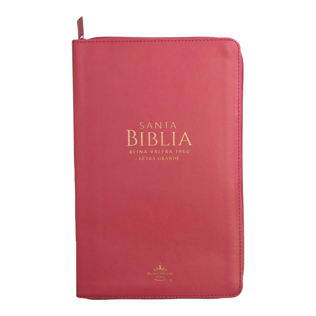 Biblia Reina Valera 1960 tamaño manual letra grande 12