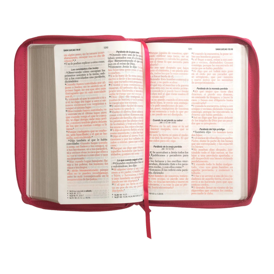 Biblia Reina Valera 1960 tamaño manual letra grande 12