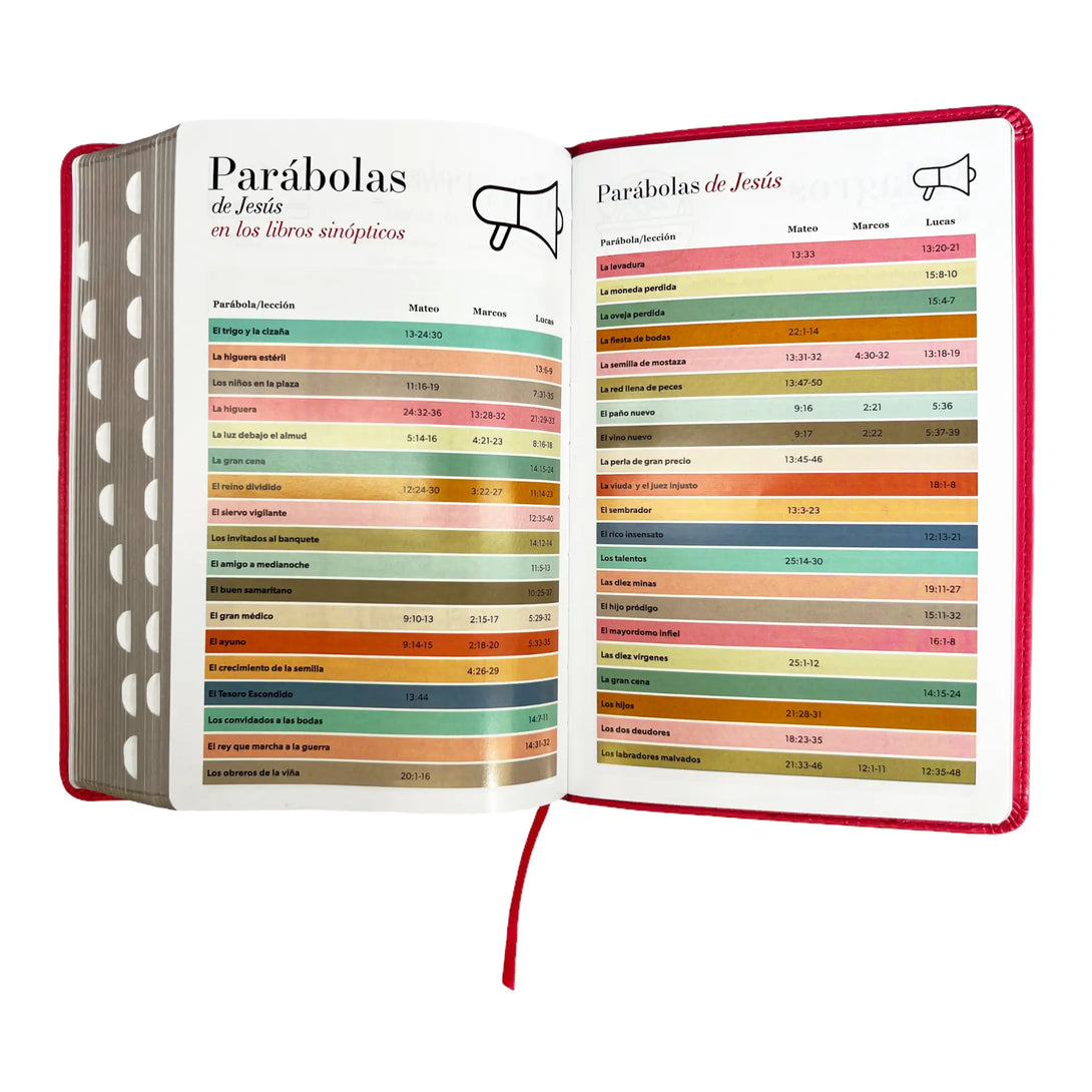 Biblia Reina Valera 1960 tamaño manual letra grande 12