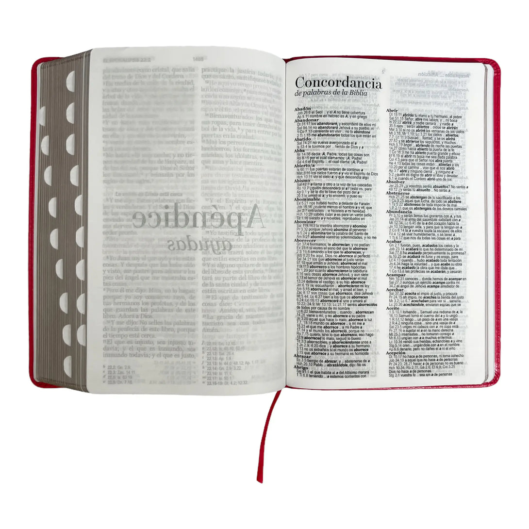 Biblia Reina Valera 1960 tamaño manual letra grande 12