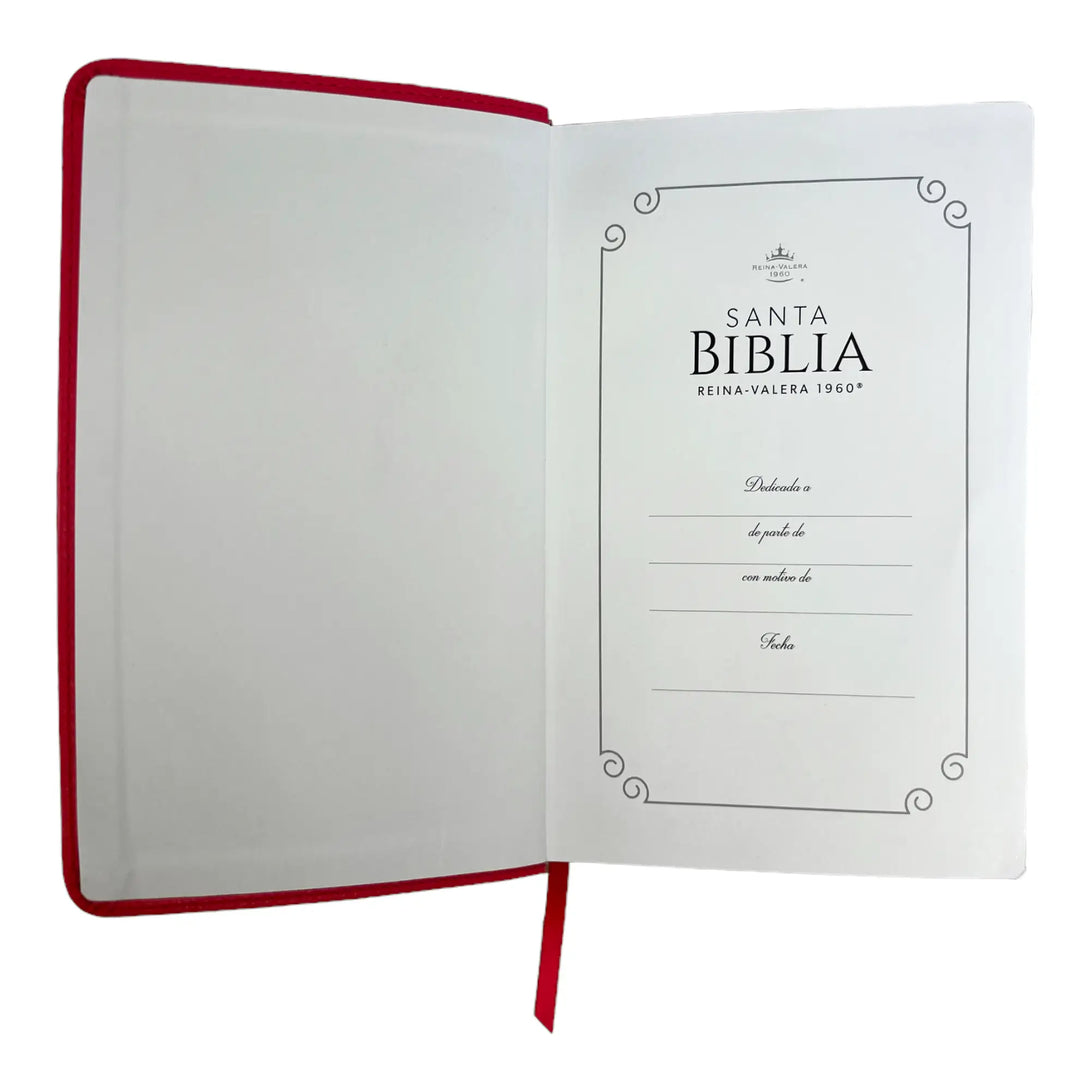 Biblia Reina Valera 1960 tamaño manual letra grande 12