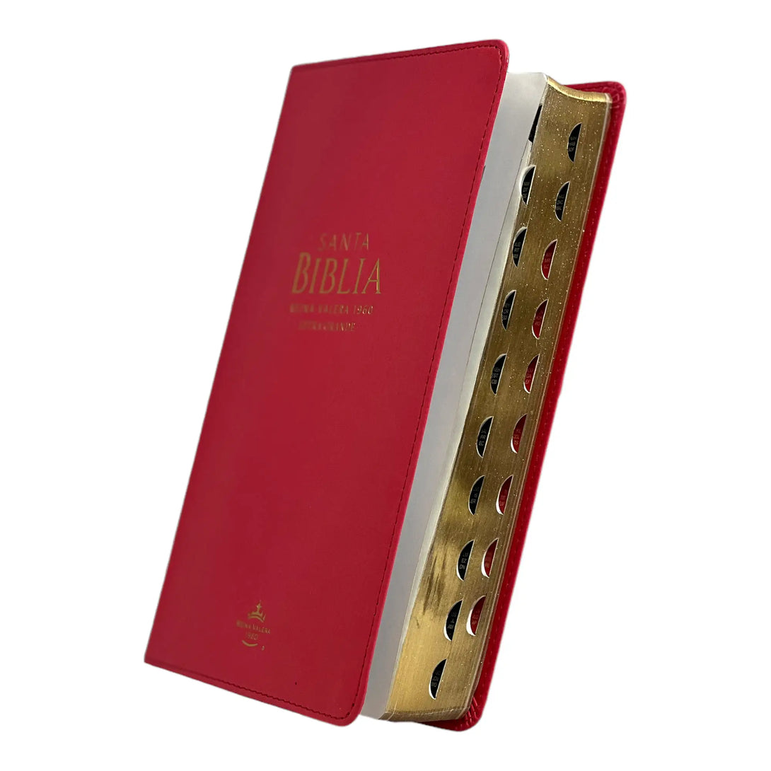 Biblia Reina Valera 1960 tamaño manual letra grande 12