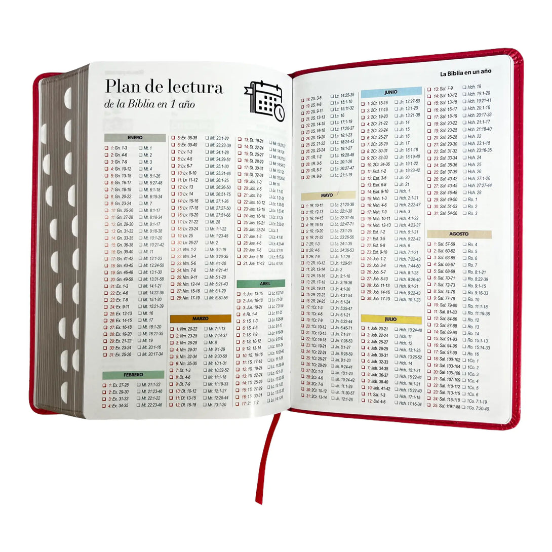 Biblia Reina Valera 1960 tamaño manual letra grande 12