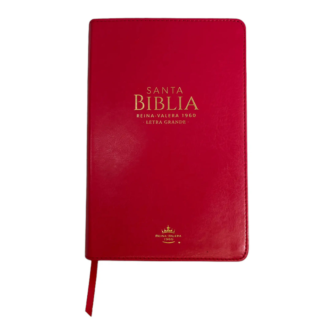 Biblia Reina Valera 1960 tamaño manual letra grande 12
