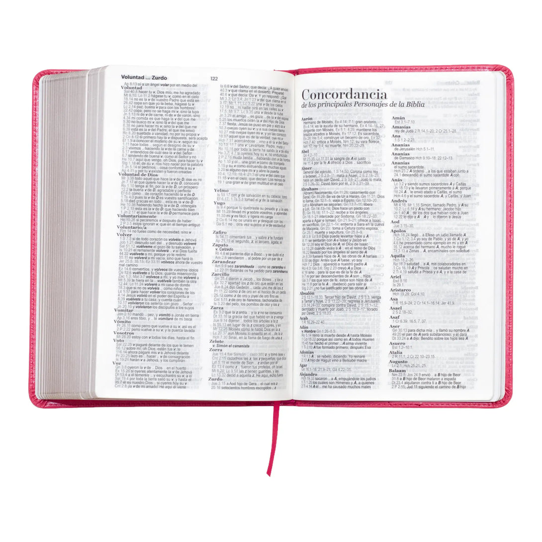 Biblia Reina Valera 1960 tamaño manual letra grande 12