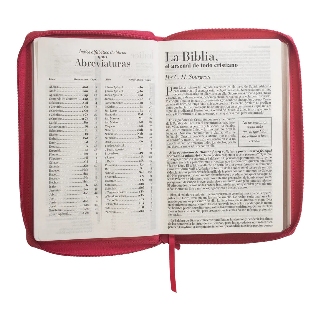 Biblia Reina Valera 1960 tamaño manual letra grande 12
