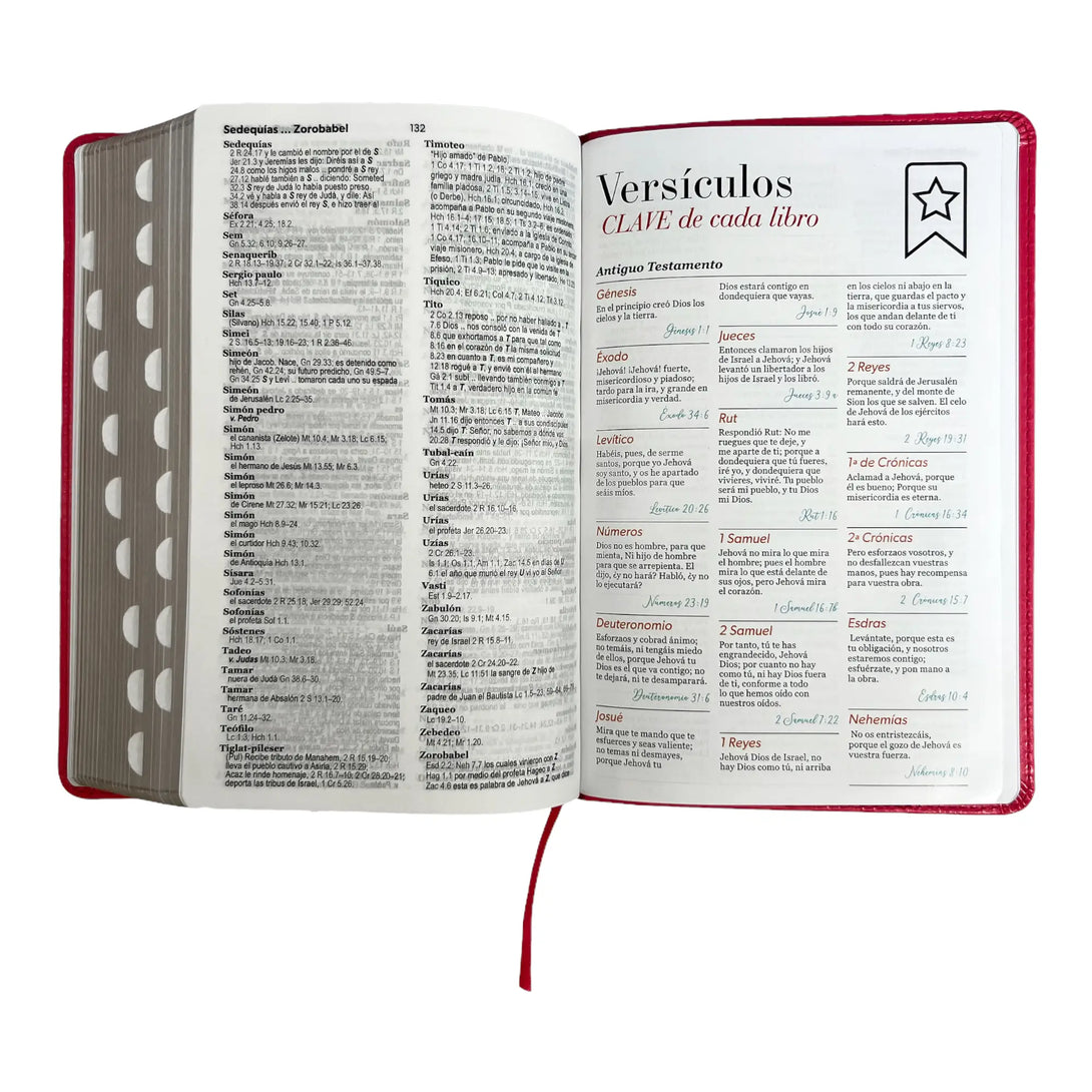 Biblia Reina Valera 1960 tamaño manual letra grande 12