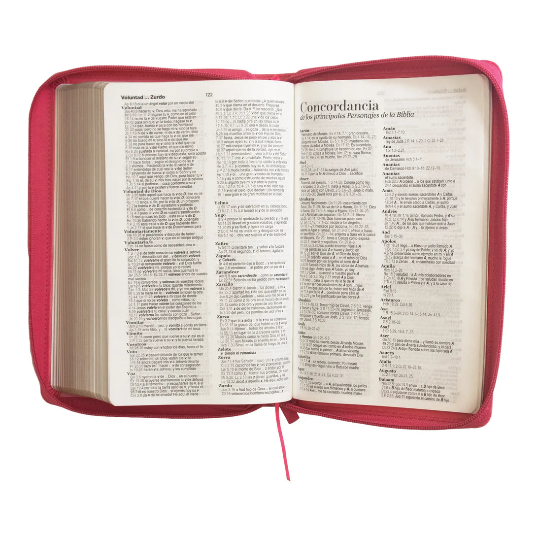 Biblia Reina Valera 1960 tamaño manual letra grande 12