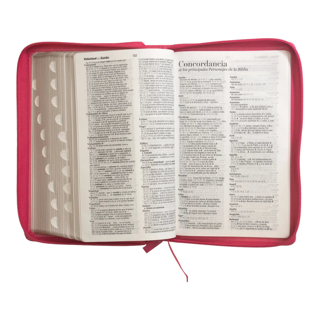 Biblia Reina Valera 1960 tamaño manual letra grande 12