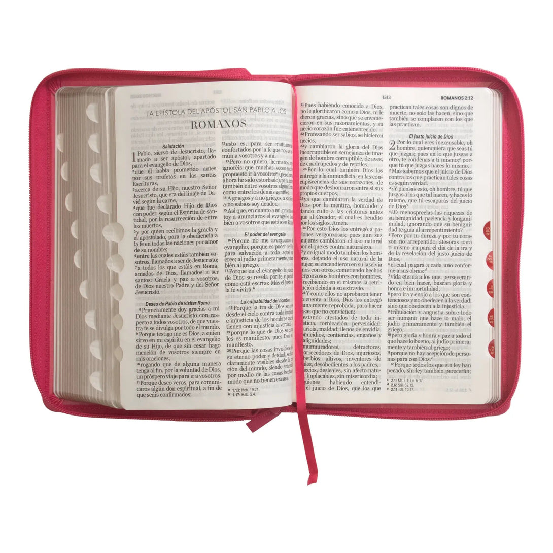 Biblia Reina Valera 1960 tamaño manual letra grande 12