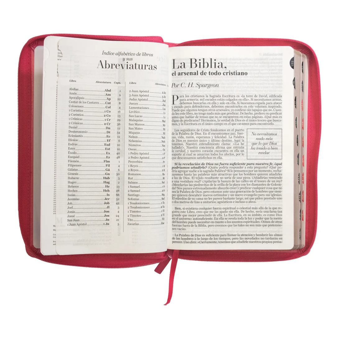 Biblia Reina Valera 1960 tamaño manual letra grande 12
