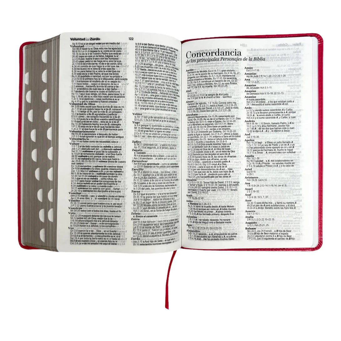 Biblia Reina Valera 1960 tamaño manual letra grande 12