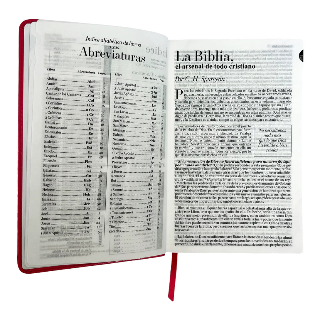 Biblia Reina Valera 1960 tamaño manual letra grande 12