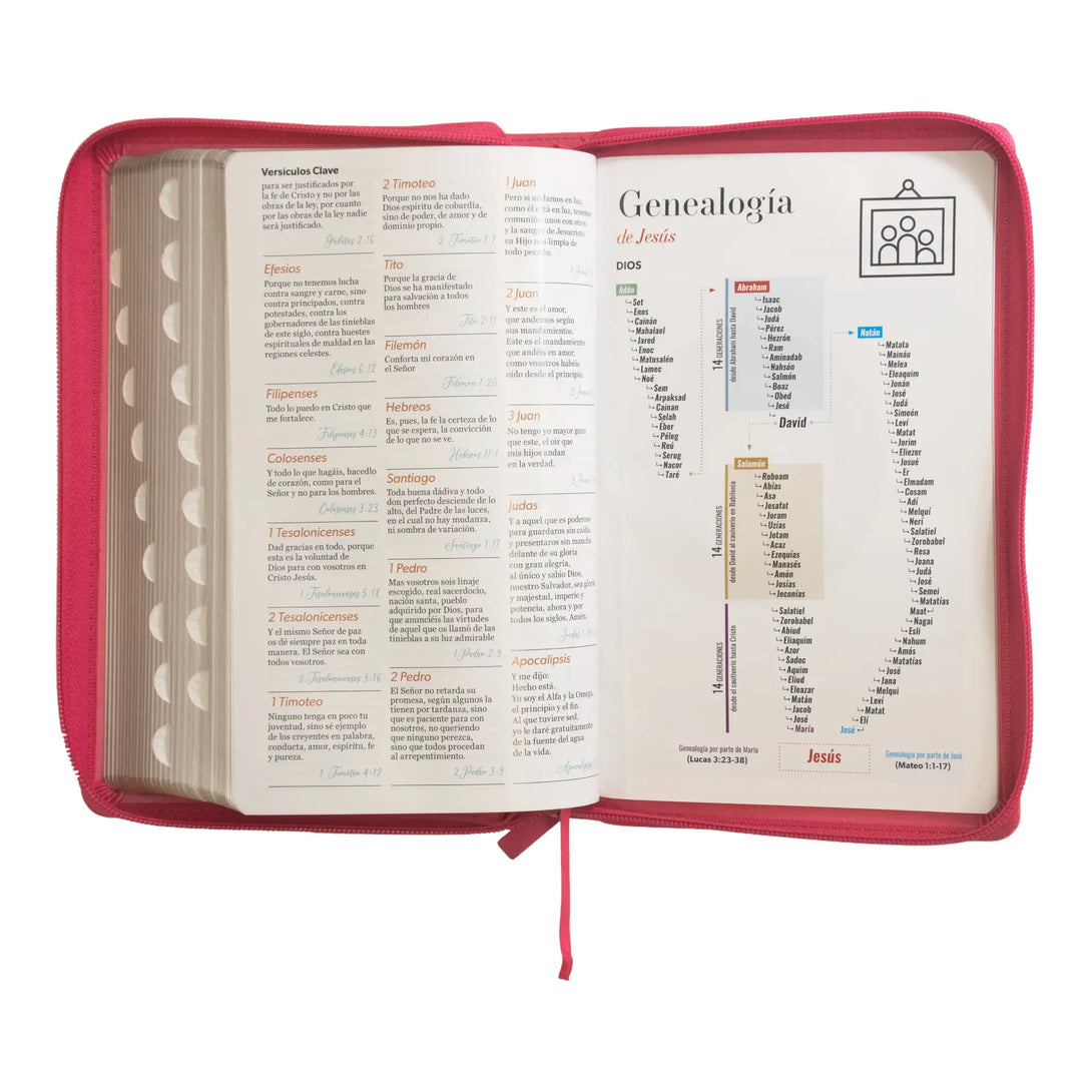 Biblia Reina Valera 1960 tamaño manual letra grande 12