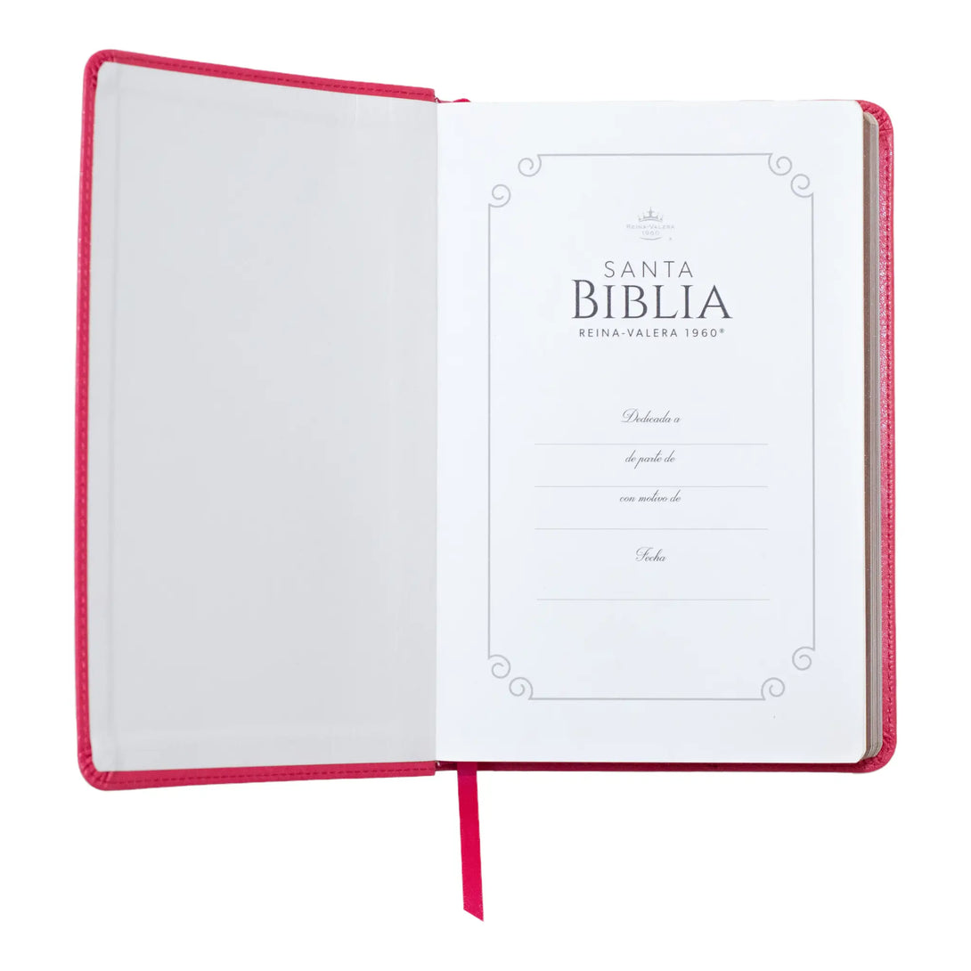 Biblia Reina Valera 1960 tamaño manual letra grande 12