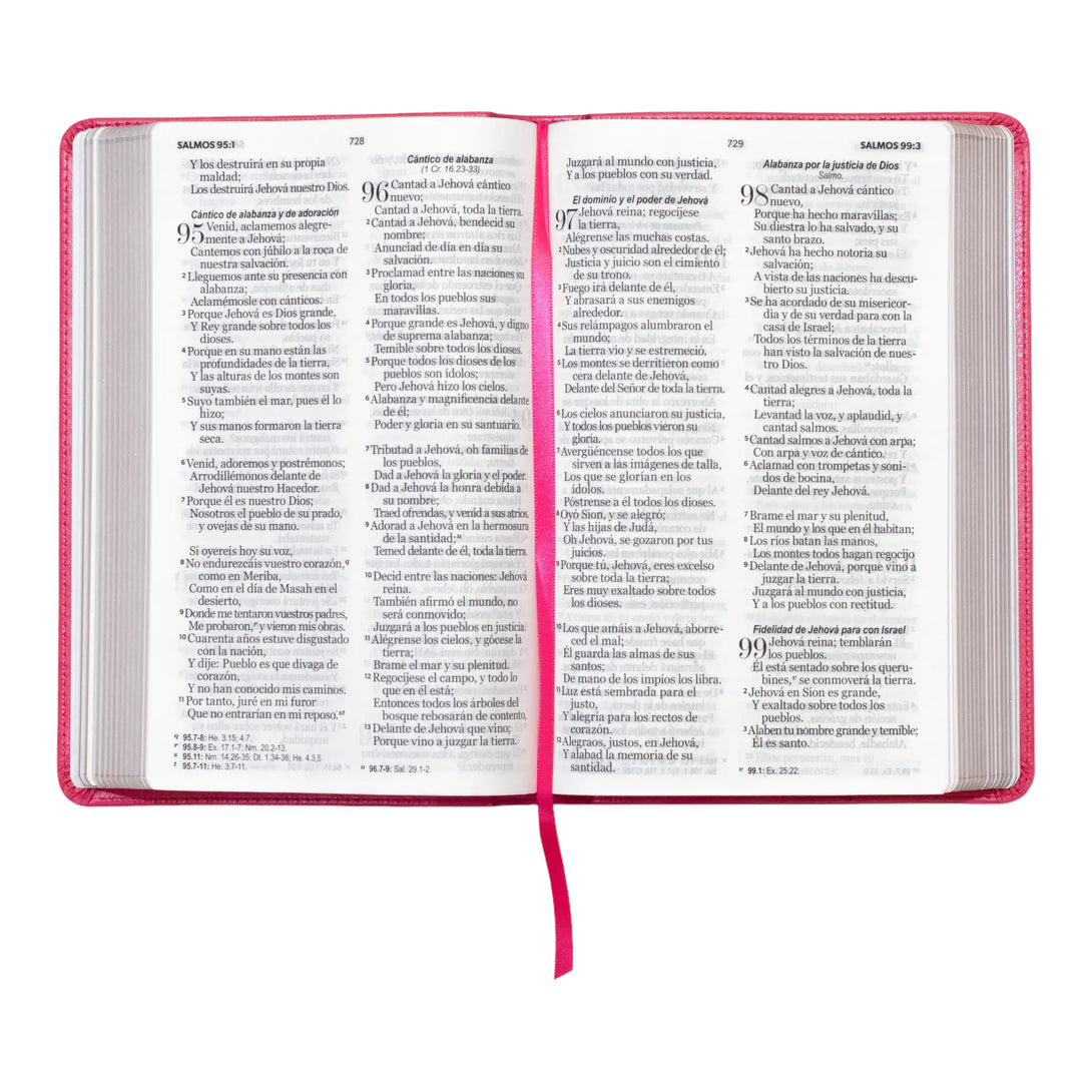 Biblia Reina Valera 1960 tamaño manual letra grande 12