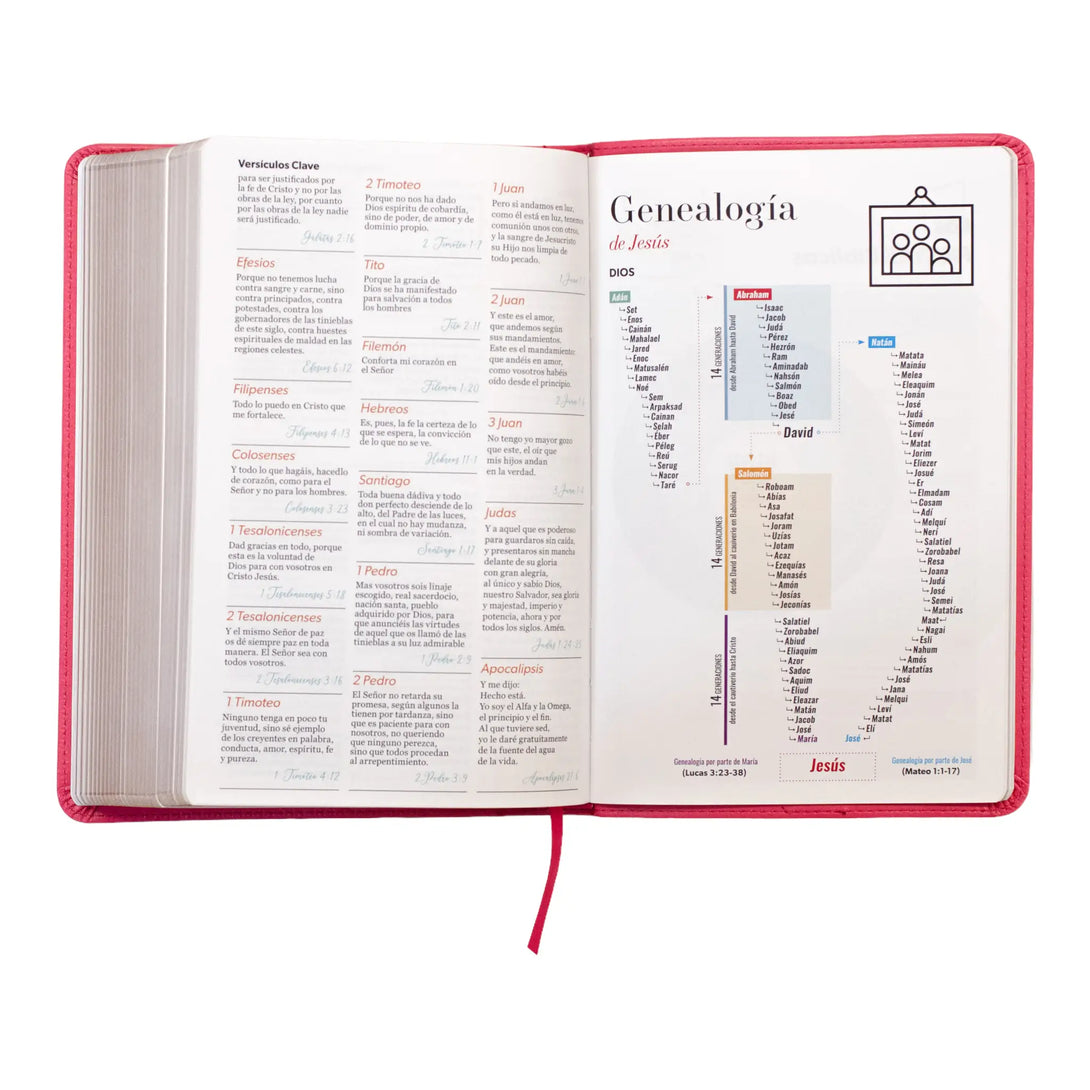 Biblia Reina Valera 1960 tamaño manual letra grande 12
