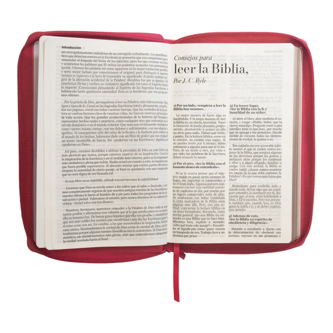Biblia Reina Valera 1960 tamaño manual letra grande 12